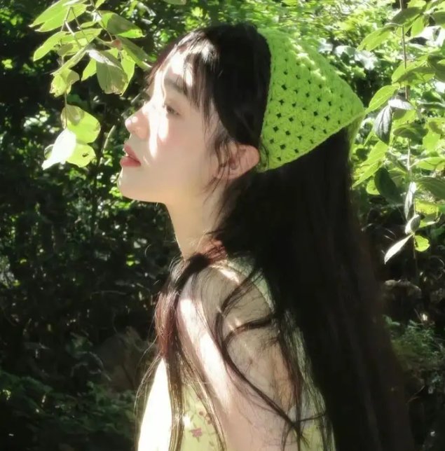两条牛仔龙