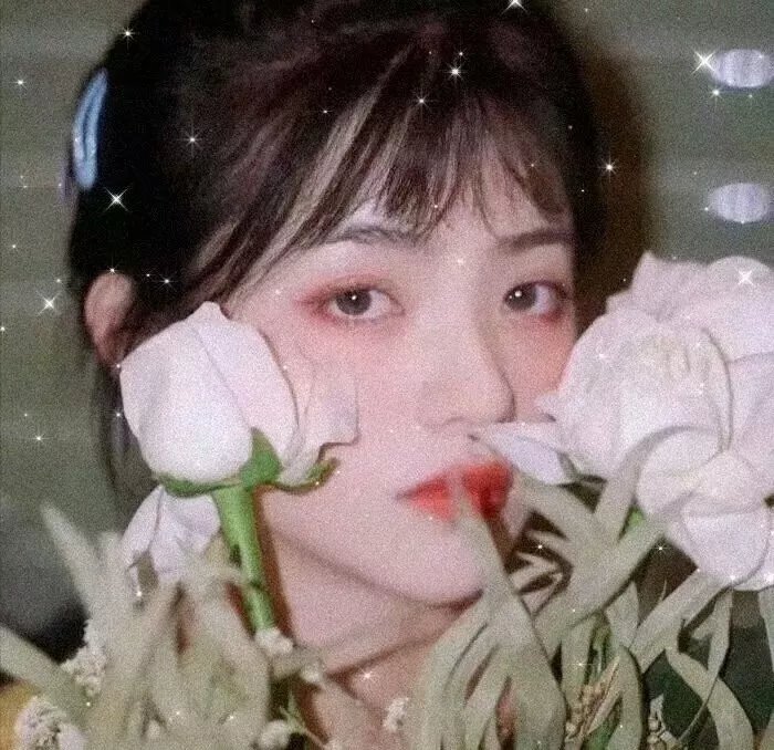哈啰你好喵